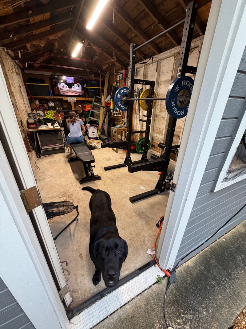 Home gym — July 2026, photo 15