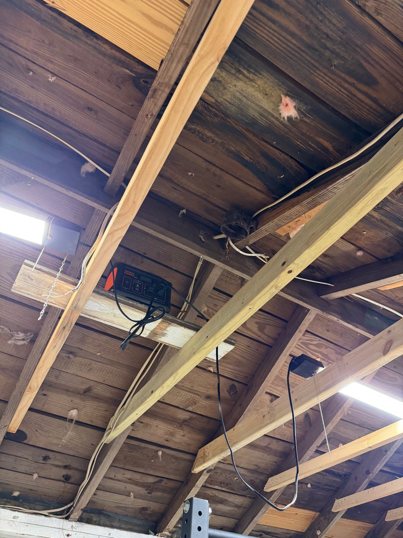 Home gym — August 2026, photo 40