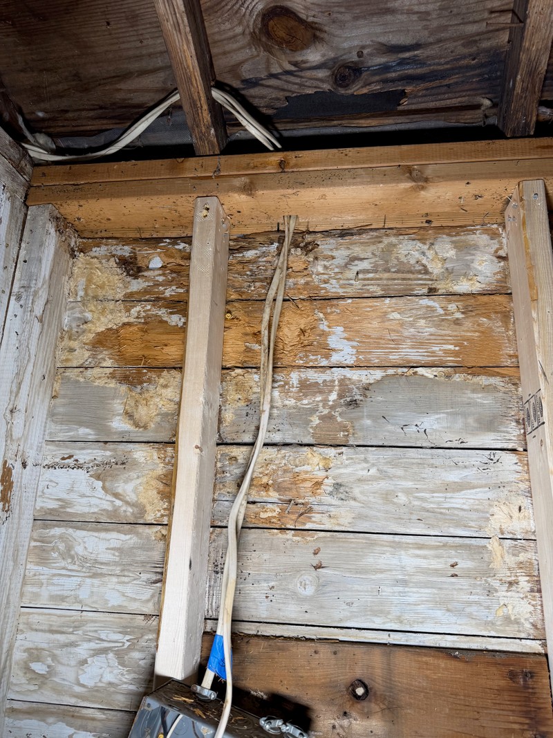 Home gym — August 2026, photo 49