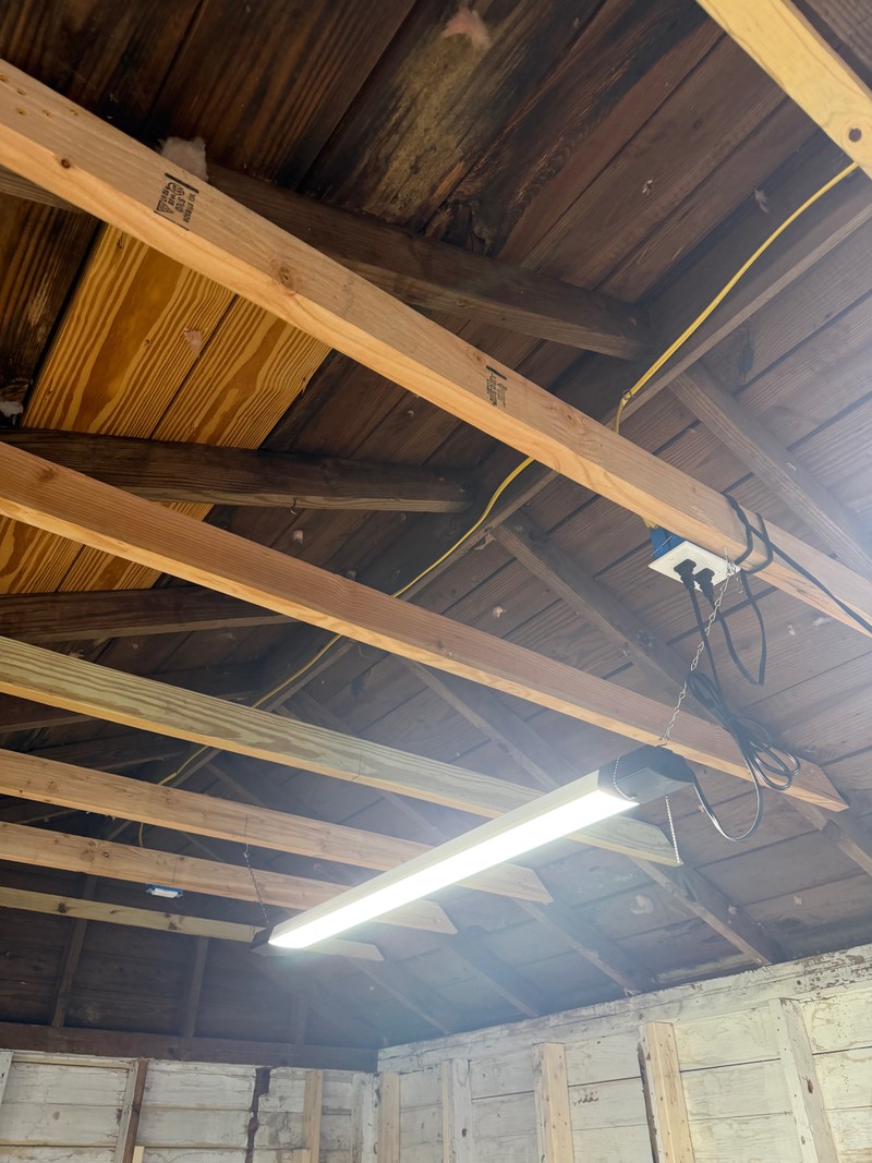 Home gym — August 2026, photo 83