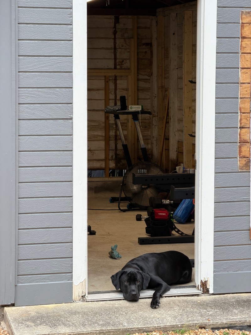 Home gym — September 2026, photo 104