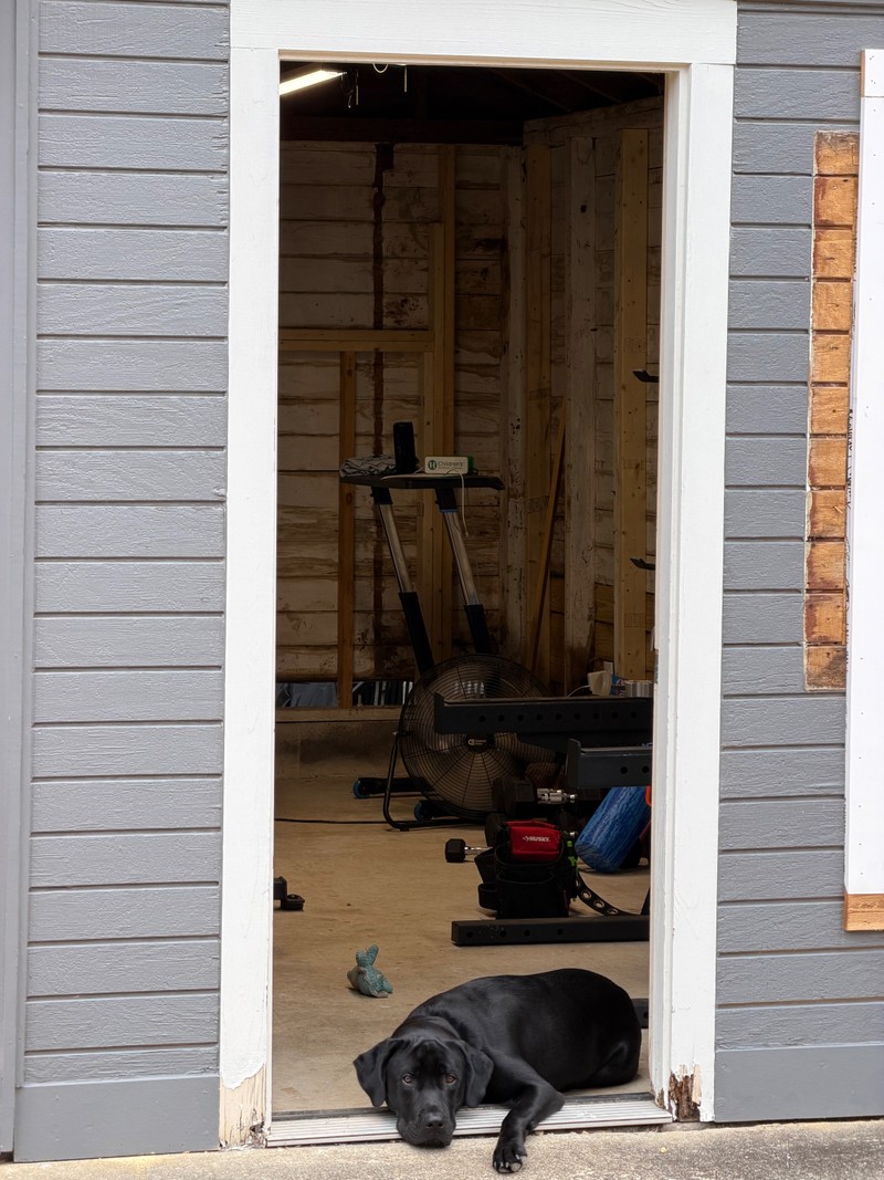 Home gym — September 2026, photo 105