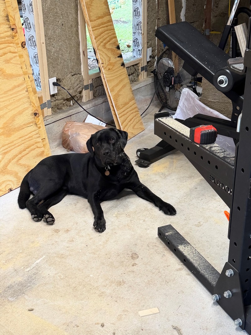 Home gym — September 2026, photo 109