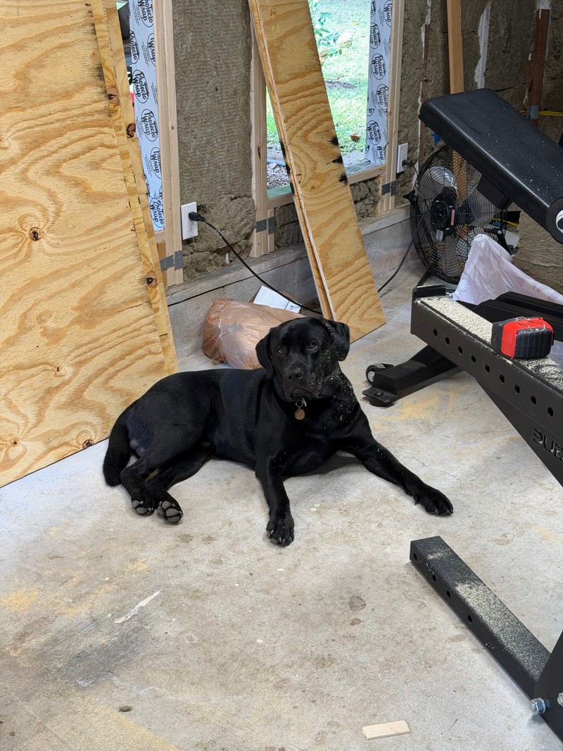 Home gym — September 2026, photo 114
