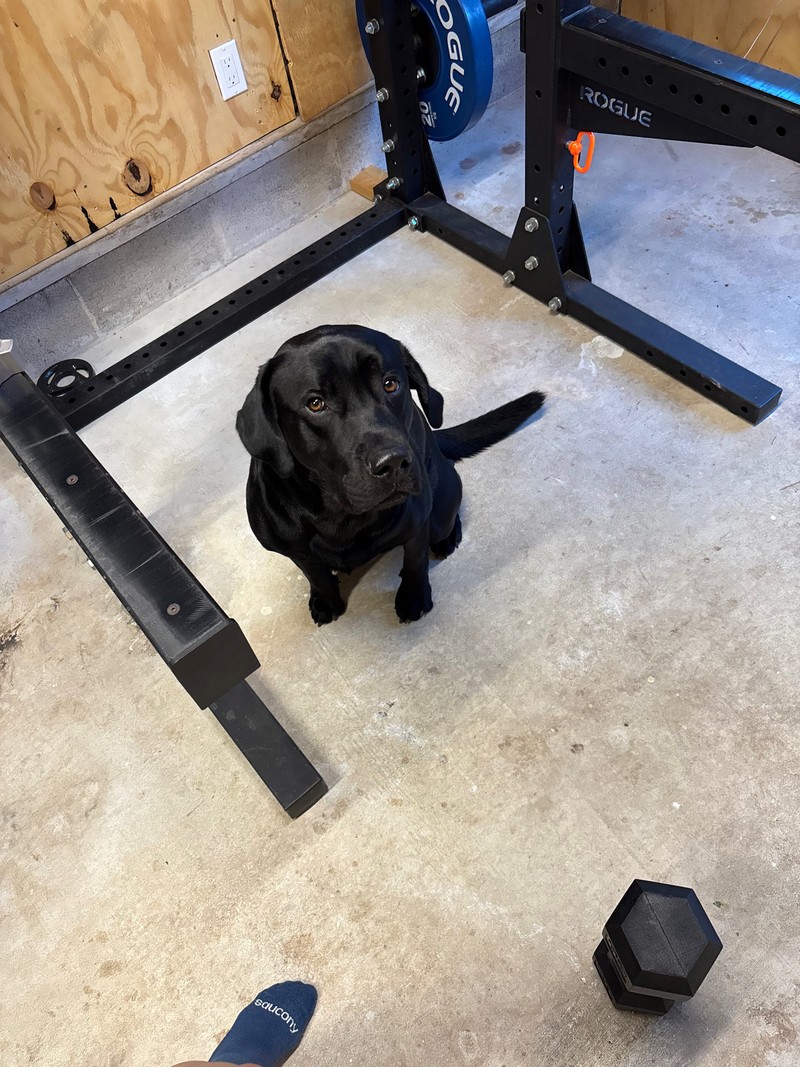 Home gym — September 2026, photo 119
