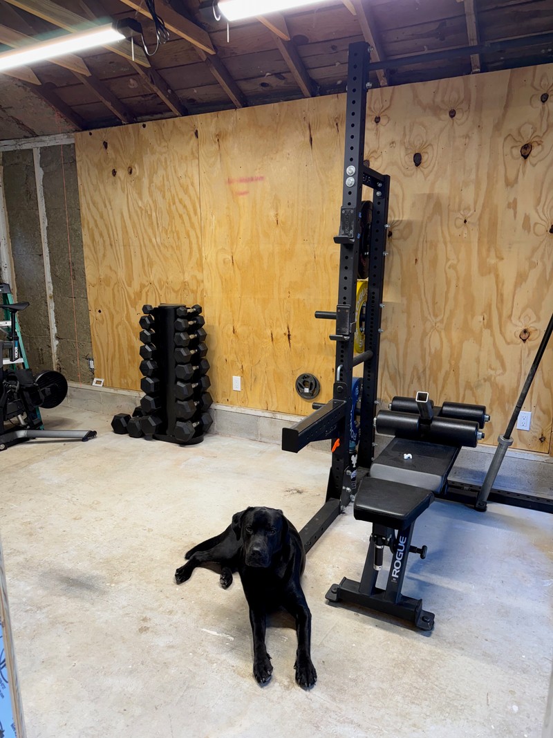 Home gym — September 2026, photo 120