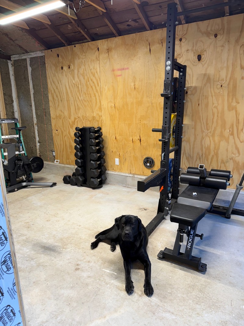 Home gym — September 2026, photo 121