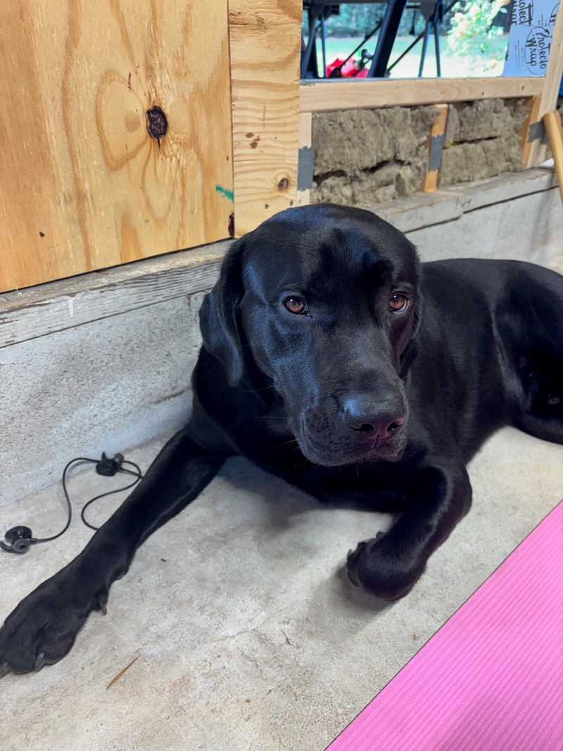 Home gym — September 2026, photo 124